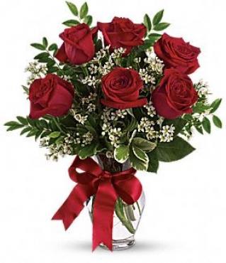 6 Red Roses